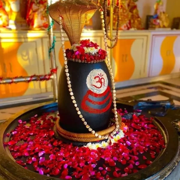 A black Shiva lingam adorned with a golden multi-hooded serpent, painted Om, rudraksha garland, fresh rose petals, and offerings in a temple setting.