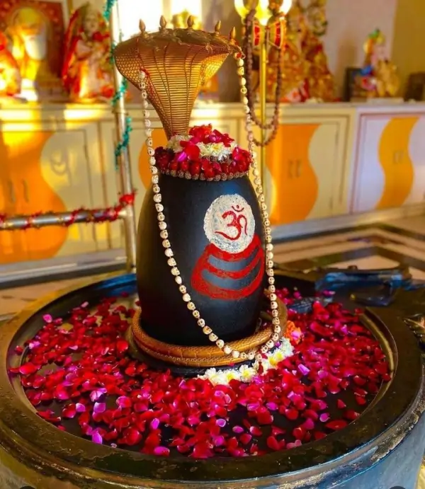A black Shiva lingam adorned with a golden multi-hooded serpent, painted Om, rudraksha garland, fresh rose petals, and offerings in a temple setting.