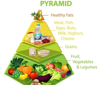 Colorful “Healthy Eating Pyramid” graphic showing layers: fruits, vegetables, legumes; grains; dairy and proteins; healthy fats at the apex.