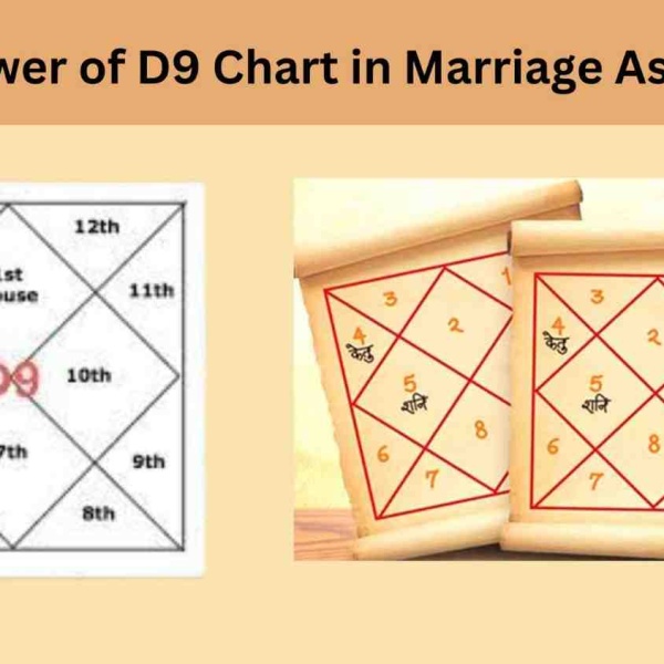 D9 Navamsa chart showing houses and planetary placements used in marriage astrology analysis